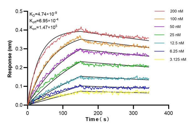 Affinity and Kinetic Characterization of 67261-3-PBS