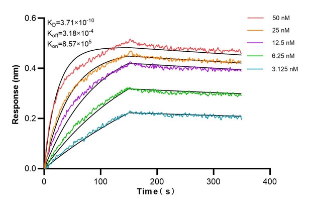 Affinity and Kinetic Characterization of 67261-4-PBS