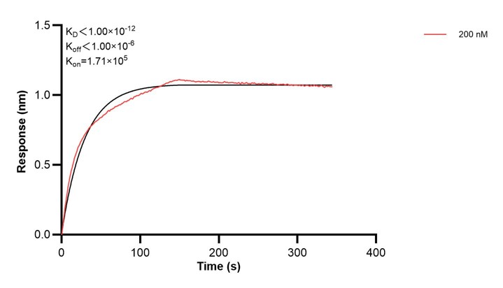 Affinity and Kinetic Characterization of 67327-1-Ig Affinity and Kinetic Characterization of 67327-1-Ig