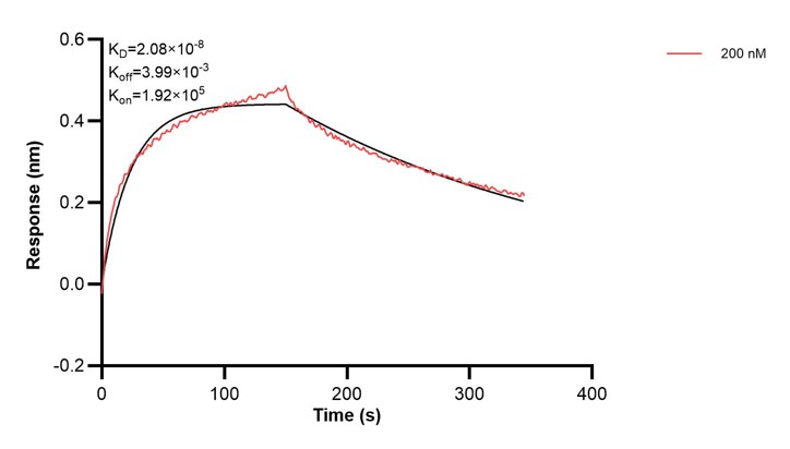 Affinity and Kinetic Characterization of 67327-3-PBS Affinity and Kinetic Characterization of 67327-3-PBS