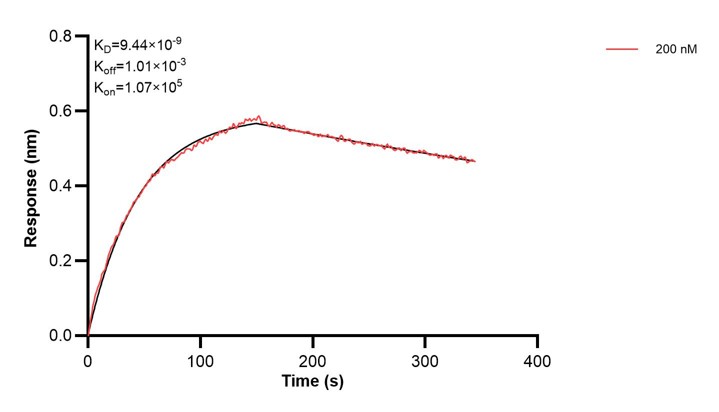 Affinity and Kinetic Characterization of 67327-4-PBS Affinity and Kinetic Characterization of 67327-4-PBS