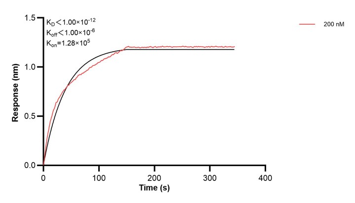 Affinity and Kinetic Characterization of 67327-5-PBS Affinity and Kinetic Characterization of 67327-5-PBS
