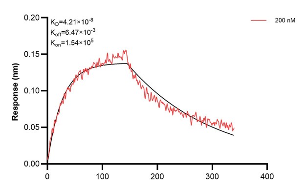 Biolayer interferometry (BLl) kinetic assays of <a class='green' href='/productredirect?CatalogNo=67370-4-Ig' target='_blank'>67370-4-Ig</a> against Human CEP164 were performed. The affinity constant is 42.1 nM. Affinity and Kinetic Characterization of 67370-4-PBS