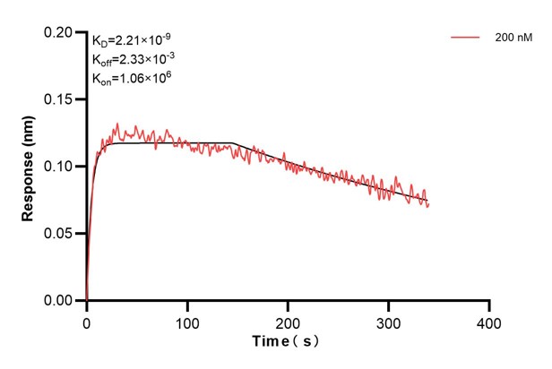 Affinity and Kinetic Characterization of 67370-6-PBS