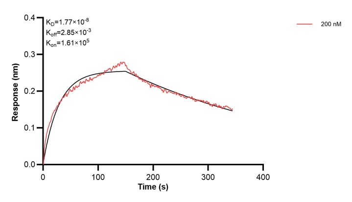Affinity and Kinetic Characterization of 67384-3-PBS