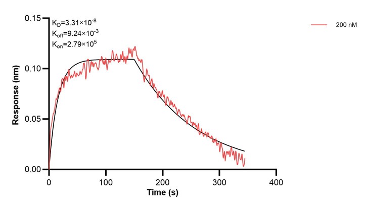 Affinity and Kinetic Characterization of 67384-5-PBS