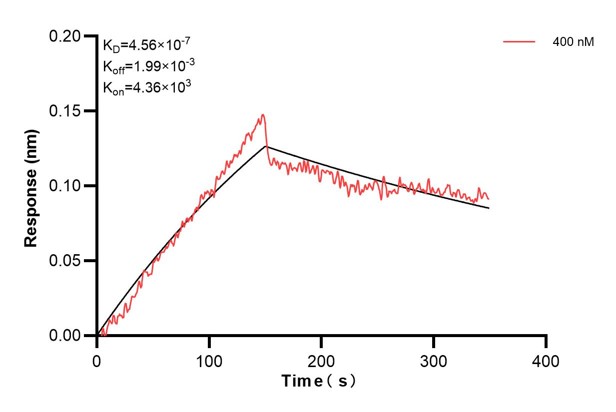 Affinity and Kinetic Characterization of 67394-2-PBS