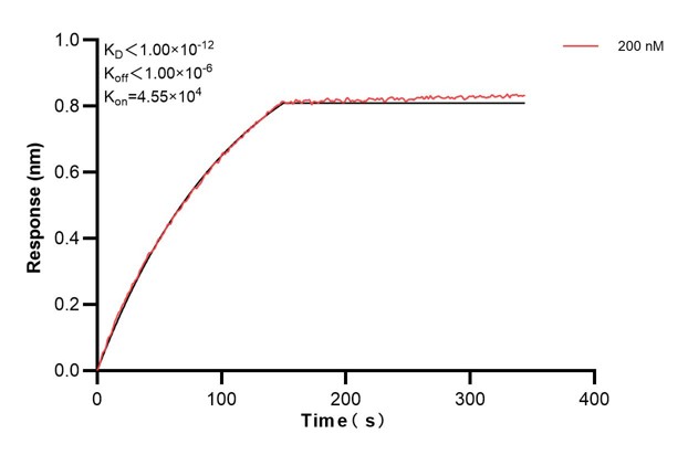 Biolayer interferometry (BLl) kinetic assay of 67416-1-Ig against Human ERO1L was performed. The affinity constant is below 1 pM... Affinity and Kinetic Characterization of 67416-1-Ig