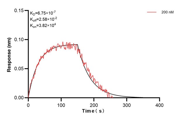 Affinity and Kinetic Characterization of 67421-2-PBS