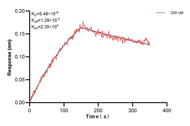 Affinity and Kinetic Characterization of 67445-2-PBS