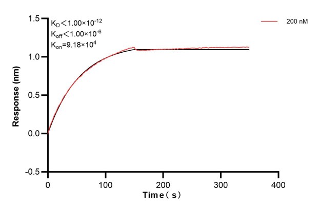 Affinity and Kinetic Characterization of 67450-2-PBS