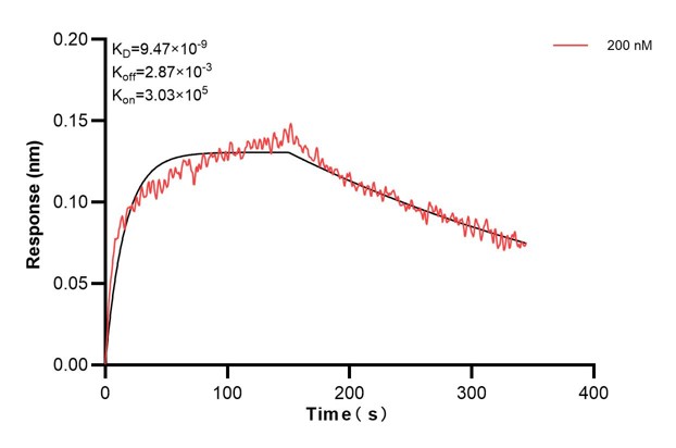Affinity and Kinetic Characterization of 67457-2-PBS