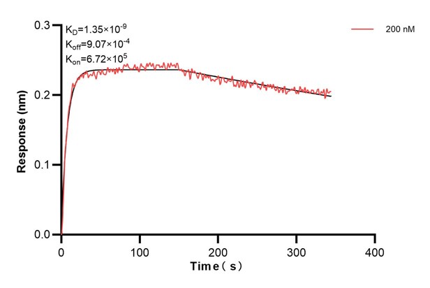 Affinity and Kinetic Characterization of 67457-3-PBS
