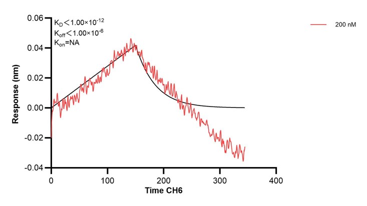 Affinity and Kinetic Characterization of 67486-2-PBS Affinity and Kinetic Characterization of 67486-2-PBS