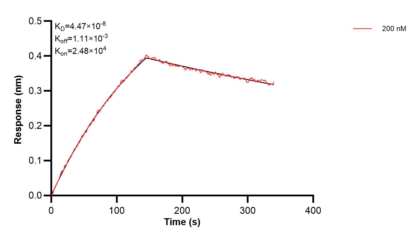 Affinity and Kinetic Characterization of 67527-3-PBS Affinity and Kinetic Characterization of 67527-3-PBS