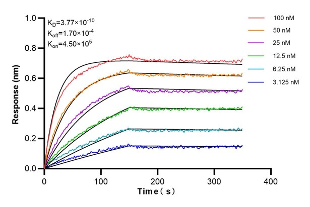 Affinity and Kinetic Characterization of 67563-2-PBS