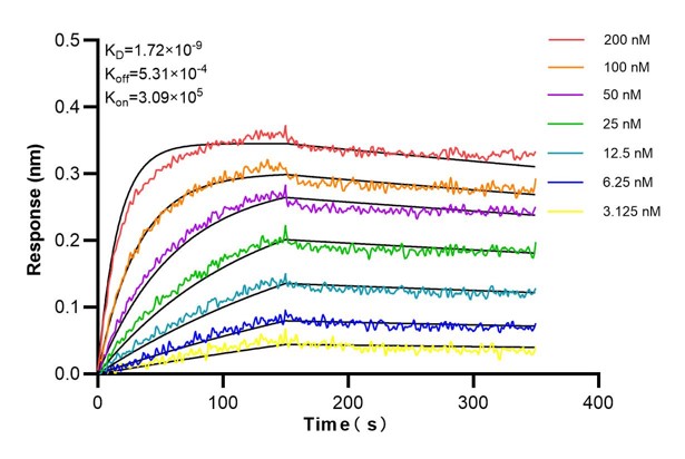 Affinity and Kinetic Characterization of 67563-3-PBS