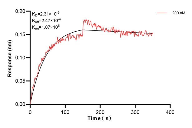 Affinity and Kinetic Characterization of 67572-2-PBS