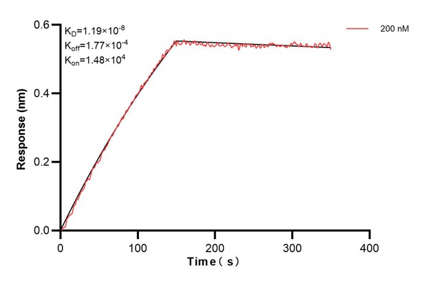 Affinity and Kinetic Characterization of 67572-3-PBS