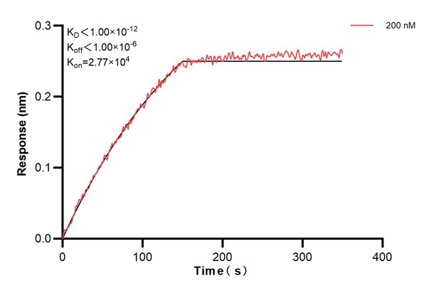 Biolayer interferometry (BLl) kinetic assays of <a class='green' href='/productredirect?CatalogNo=67599-5-Ig' target='_blank'>67599-5-Ig</a> against Human Prx5 were performed. The affinity constant is below 1 pM. Affinity and Kinetic Characterization of 67599-5-PBS