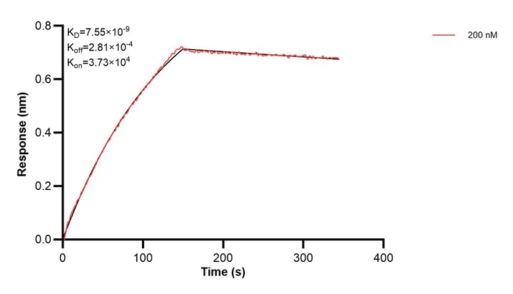 Affinity and Kinetic Characterization of 67600-2-PBS Affinity and Kinetic Characterization of 67600-2-PBS