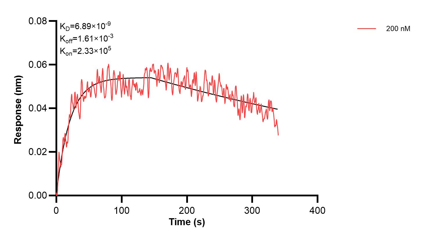 Affinity and Kinetic Characterization of 67608-2-PBS Affinity and Kinetic Characterization of 67608-2-PBS