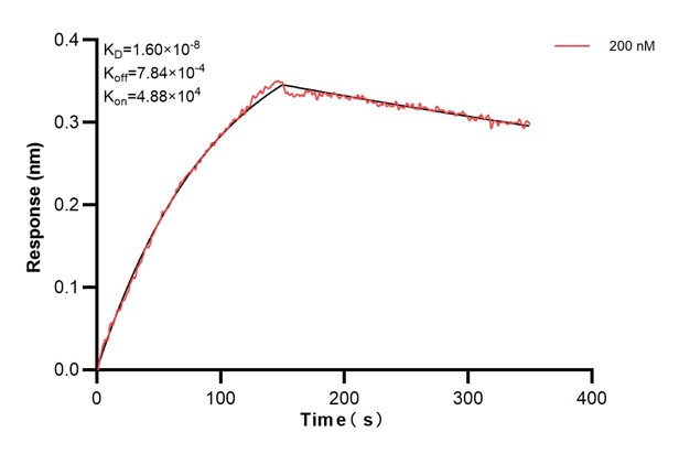 Affinity and Kinetic Characterization of 67627-4-PBS