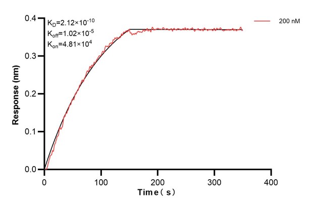 Affinity and Kinetic Characterization of 67627-5-PBS