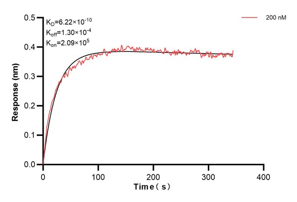 Affinity and Kinetic Characterization of 67647-4-PBS