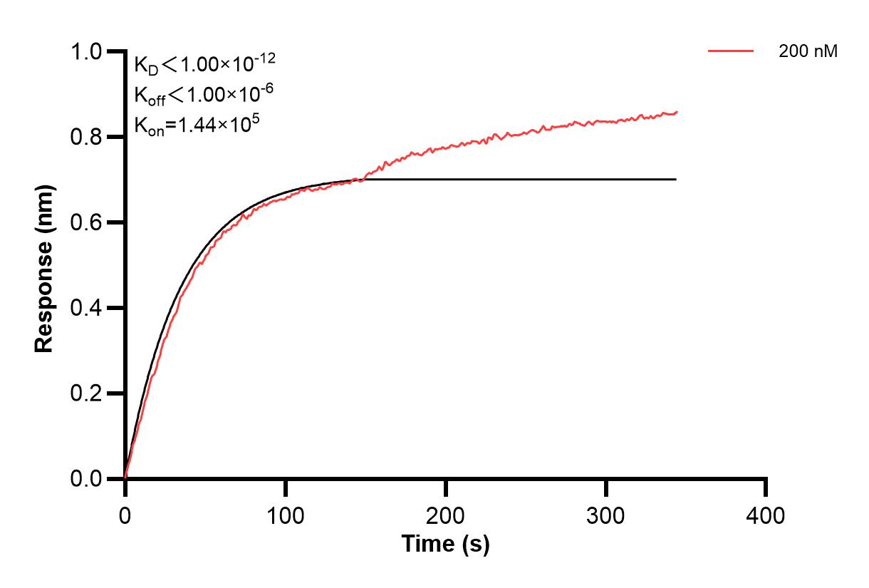 Affinity and Kinetic Characterization of 67658-2-PBS Affinity and Kinetic Characterization of 67658-2-PBS