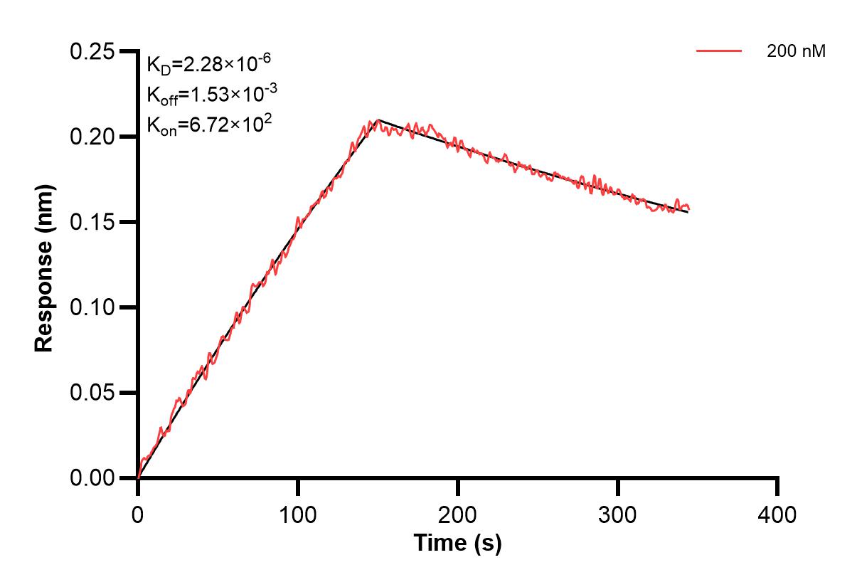 Affinity and Kinetic Characterization of 67658-4-PBS