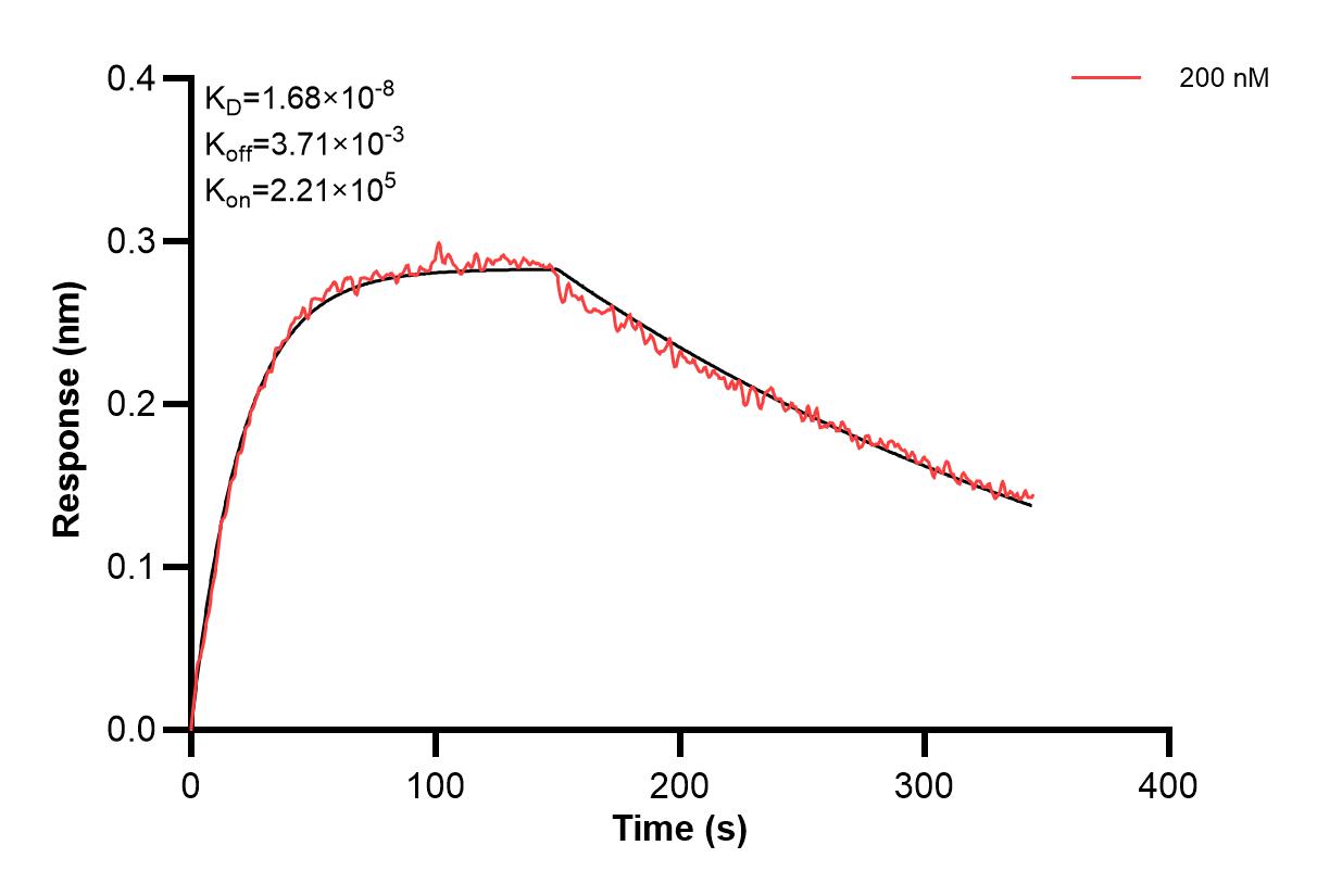 Affinity and Kinetic Characterization of 67681-4-PBS Affinity and Kinetic Characterization of 67681-4-PBS