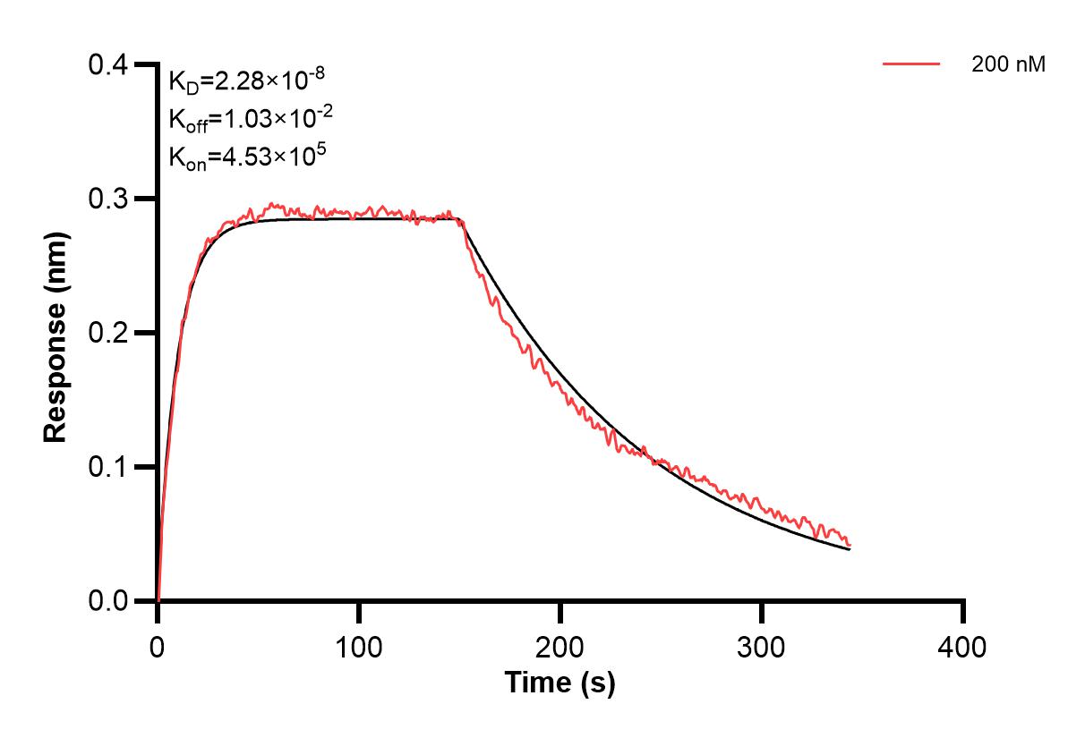 Affinity and Kinetic Characterization of 67681-5-PBS