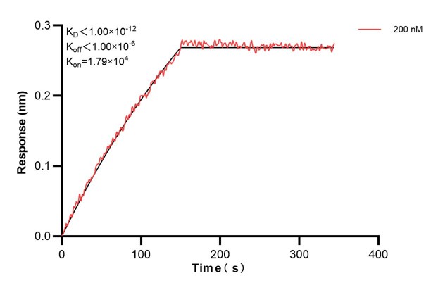 Affinity and Kinetic Characterization of 67702-4-PBS