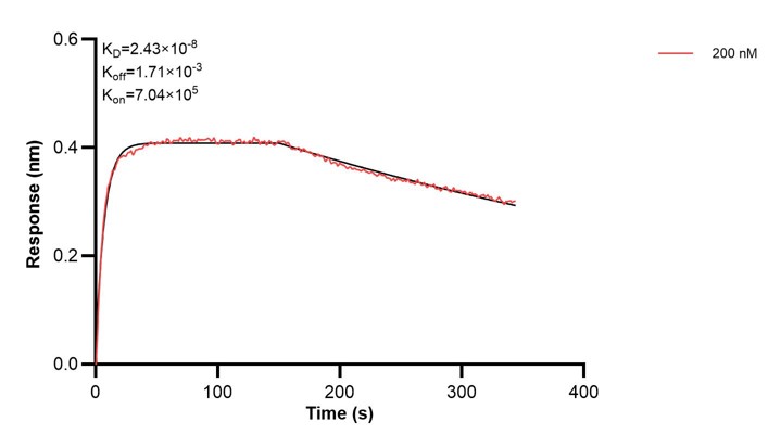 Affinity and Kinetic Characterization of 67705-2-PBS Affinity and Kinetic Characterization of 67705-2-PBS