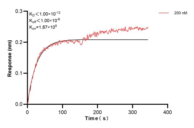 Affinity and Kinetic Characterization of 67784-3-PBS