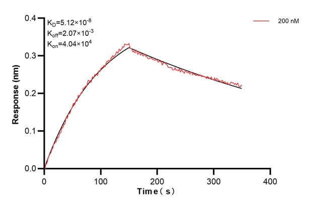 Affinity and Kinetic Characterization of 67838-1-PBS
