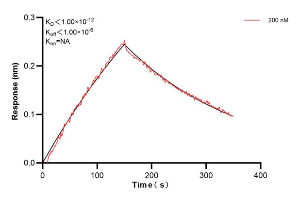 Affinity and Kinetic Characterization of 67838-2-PBS