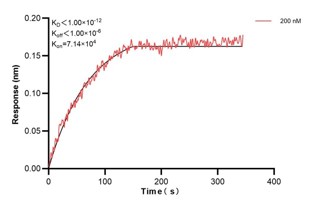 Affinity and Kinetic Characterization of 67913-2-PBS