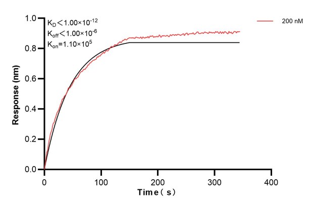 Affinity and Kinetic Characterization of 67913-5-PBS