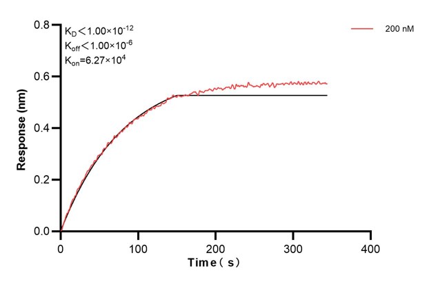 Affinity and Kinetic Characterization of 67913-6-PBS