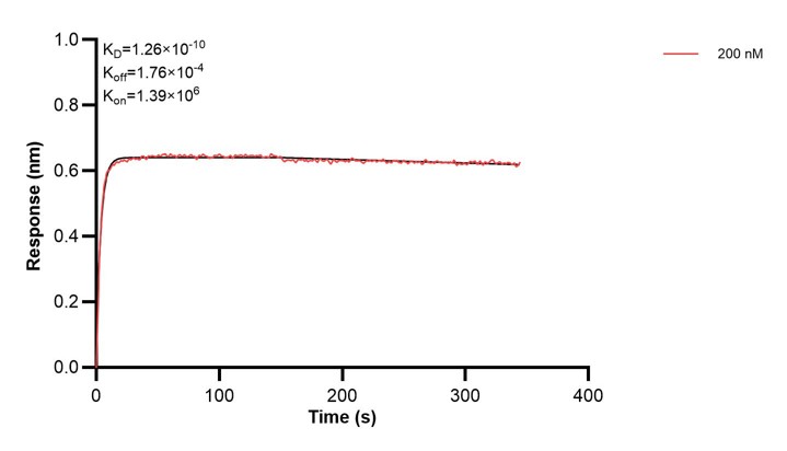 Affinity and Kinetic Characterization of 67926-1-Ig Affinity and Kinetic Characterization of 67926-1-Ig