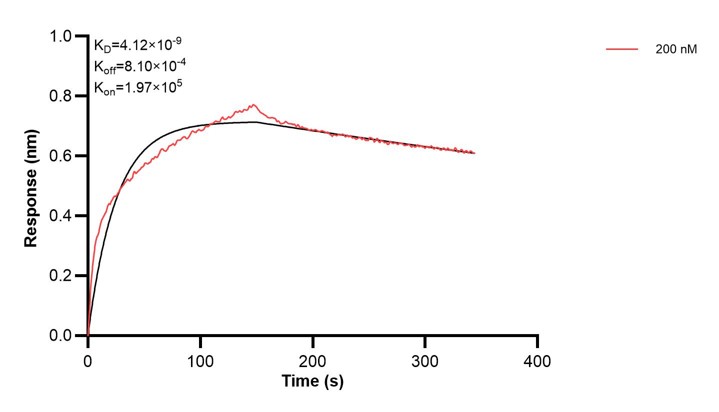 Affinity and Kinetic Characterization of 67926-3-PBS Affinity and Kinetic Characterization of 67926-3-PBS