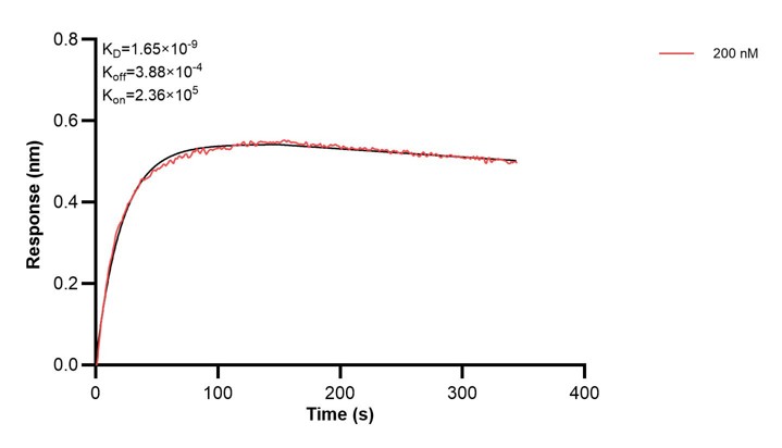 Affinity and Kinetic Characterization of 67926-4-PBS Affinity and Kinetic Characterization of 67926-4-PBS