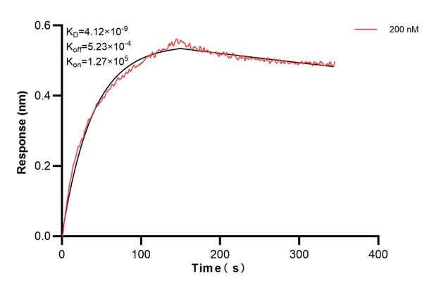 Affinity and Kinetic Characterization of 67937-3-PBS