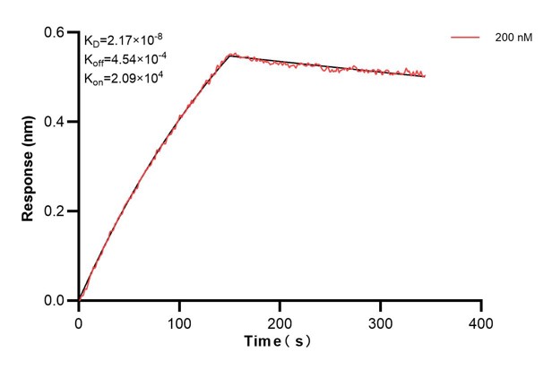 Affinity and Kinetic Characterization of 68081-5-PBS