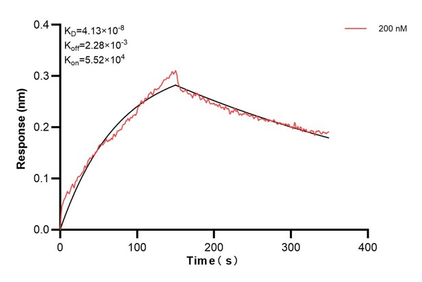Affinity and Kinetic Characterization of 68089-2-PBS Affinity and Kinetic Characterization of 68089-2-PBS