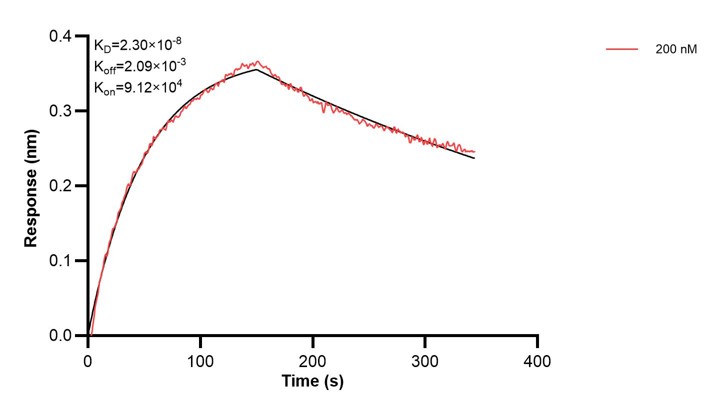 Affinity and Kinetic Characterization of 68100-2-PBS