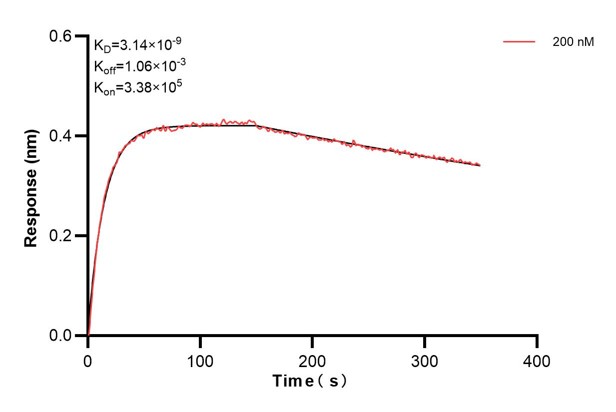 Affinity and Kinetic Characterization of 68127-2-PBS Affinity and Kinetic Characterization of 68127-2-PBS