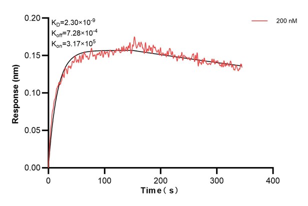 Affinity and Kinetic Characterization of 68174-3-PBS Affinity and Kinetic Characterization of 68174-3-PBS